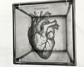 Anatomical heart print, handmade metal wall decor, art and shadow cubic sculpture. Home gift.