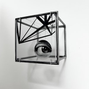 Può includere: Un'immagine di un occhio in bianco e nero all'interno di un cubo di vetro trasparente con una cornice in metallo nero. L'occhio è sospeso dalla parte superiore del cubo da fili sottili.