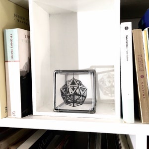 May include: A black and white geometric sculpture inside a glass cube on a white bookshelf. The sculpture is a 3D model of a geometric shape with many sides and angles. The sculpture is suspended in the center of the cube.
