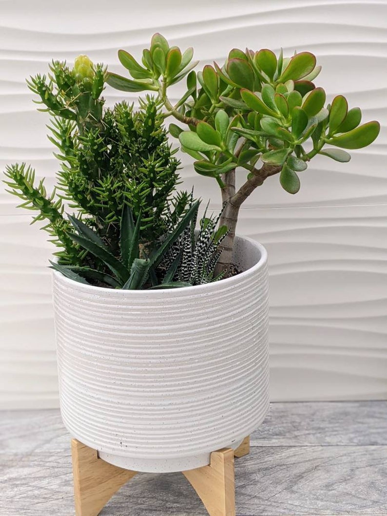 Modern White Pedestal Cactus Planter Local PU Only