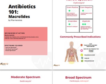 Antibiotikum 101 (Macrolides) - Hinweise für Medizin, Apotheke, Pflege und Pflege