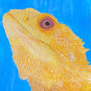 Bearded Dragon Watercolor
