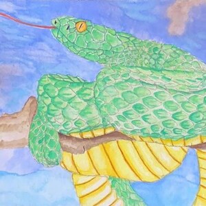 Large-Scaled Viper on Branch Watercolor