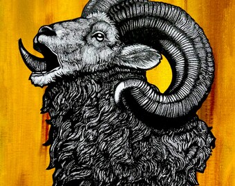 Bighorn - 8x10 Print