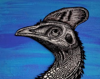 Cassowary - 8x10 Print