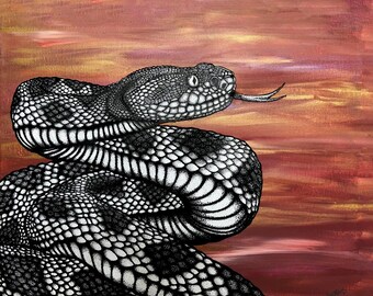 Diamondback - 8x10 Print