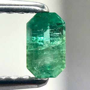 Natural Green Emerald Octagon: Hand Faceted Gemstone (0.270 CTS)