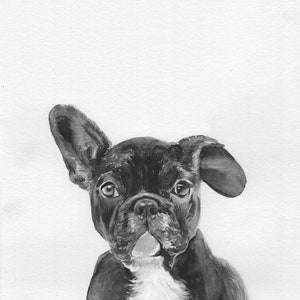 May include: Black and white watercolor painting of a French bulldog puppy with one ear perked up. The puppy has a white patch on its chest and is looking directly at the viewer.