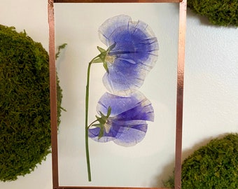 Pressed Flower Frame | 4x6 hanging frame