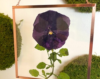Pressed flower frame | 6x6 frame