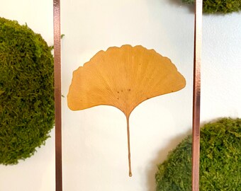Pressed Flower Frame | 5x5 hanging frame