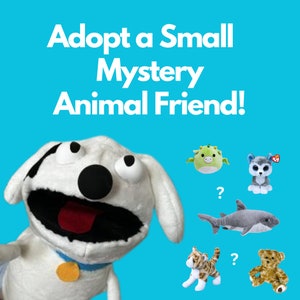 adopt a SMALL mystery animal friend!!