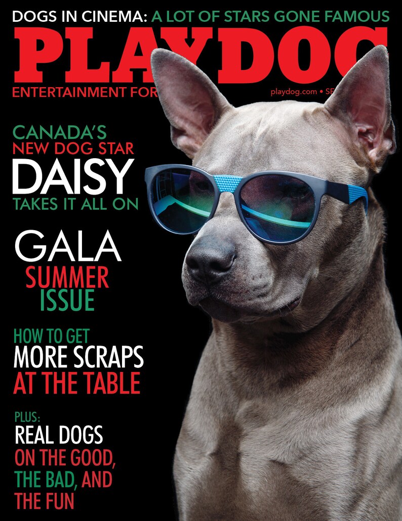 Playdog Magazine Covers Etsy