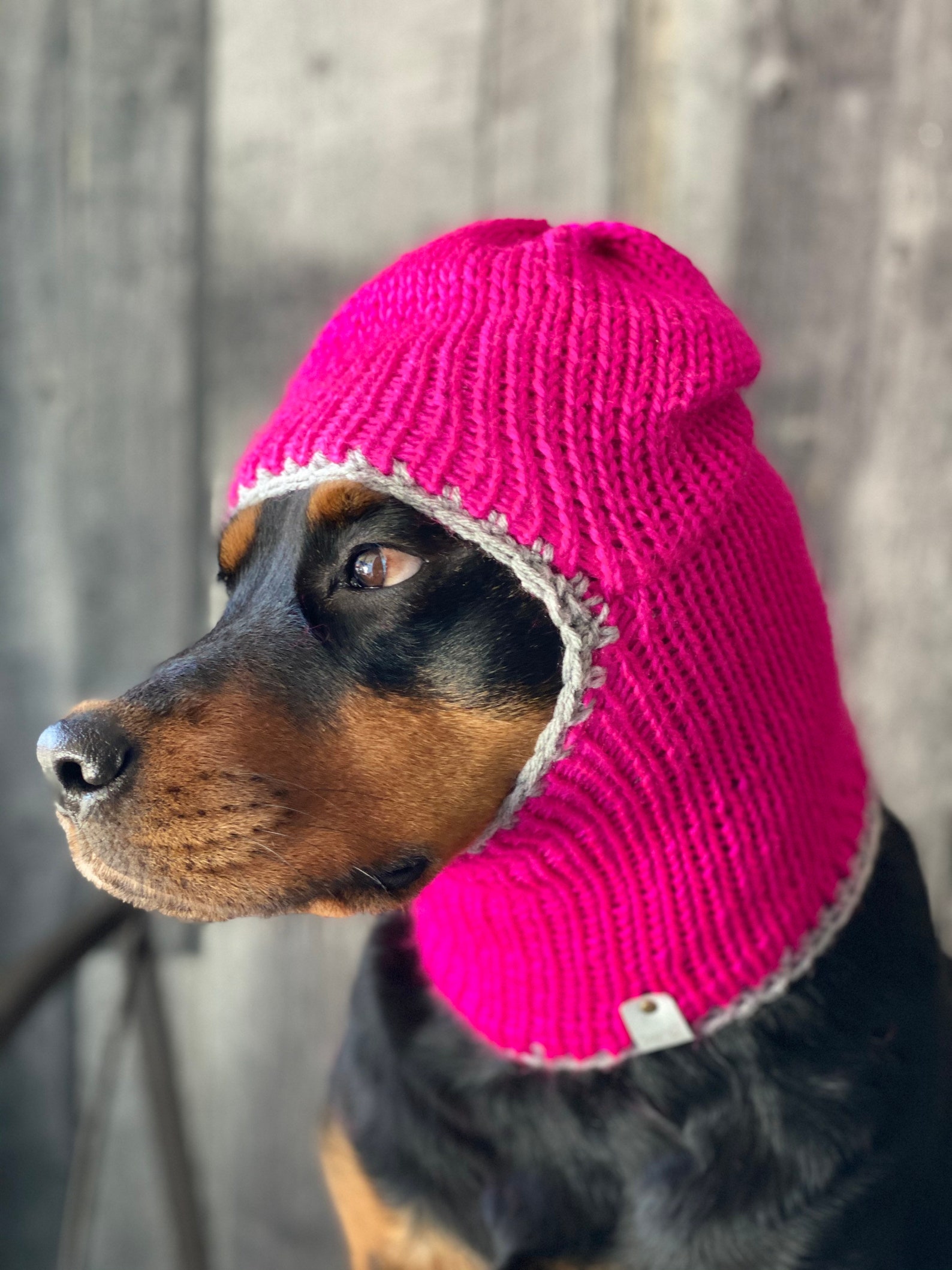Hat for dogs toques for medium size dog balaclava maya Etsy