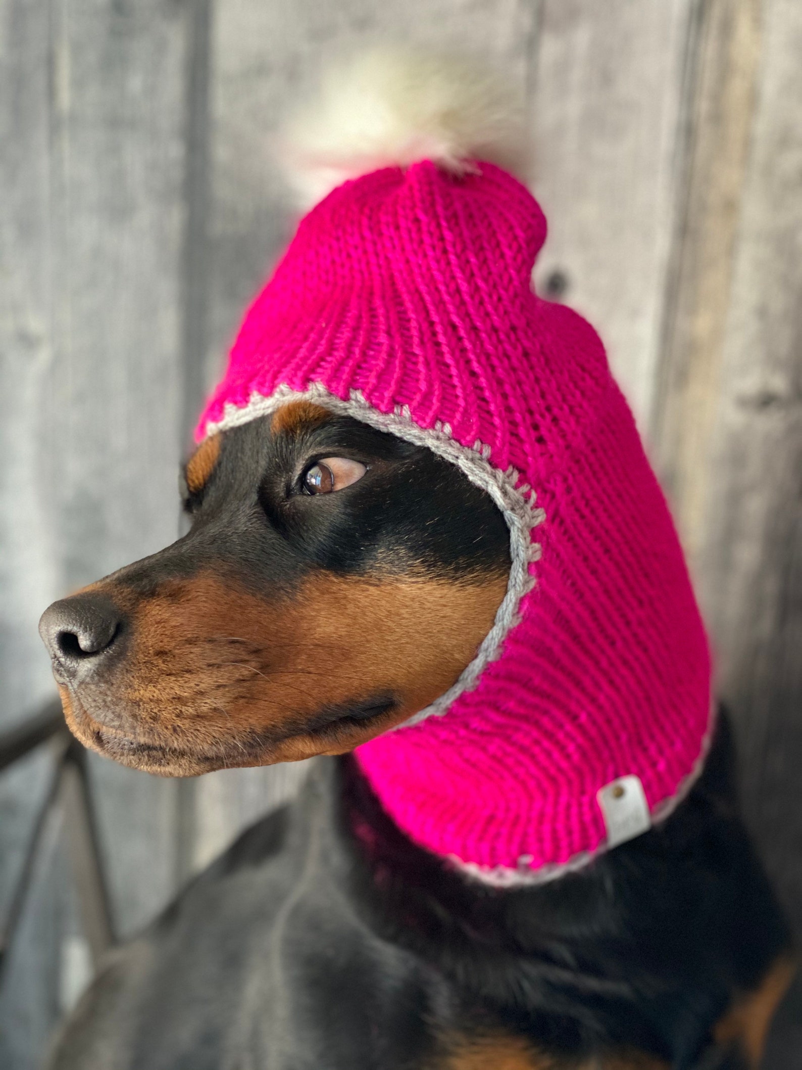 Hat for dogs toques for medium size dog balaclava maya Etsy