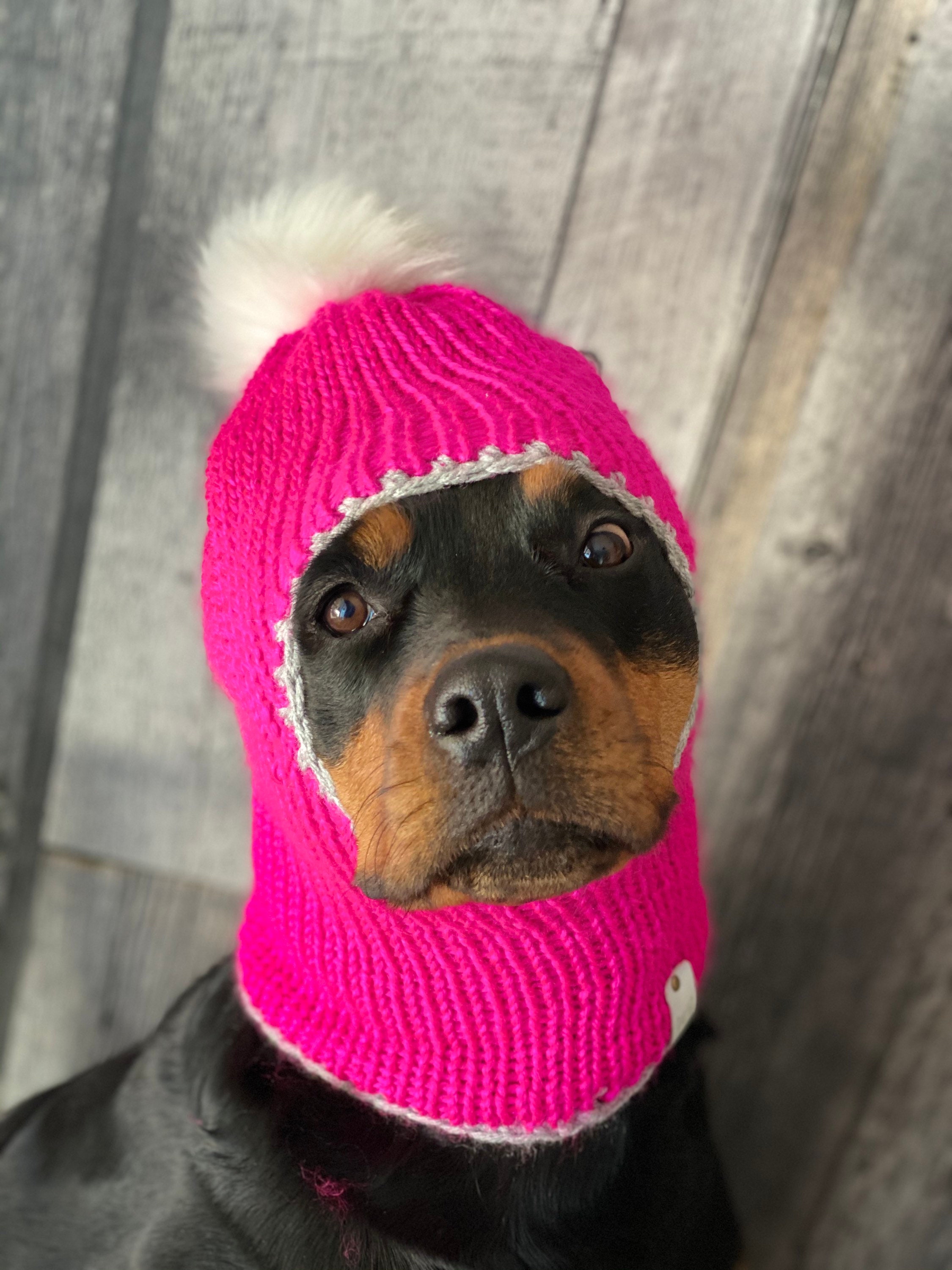 Hat for dogs toques for medium size dog balaclava maya Etsy