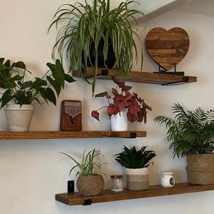 a set of wooden shelves displaying a variety of potted plants, decorative items, and a heart-shaped wooden object.