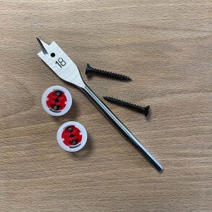 May include: A silver drill bit with the number 18 printed on it, two white plastic caps with red inserts, and two black screws on a wooden surface.