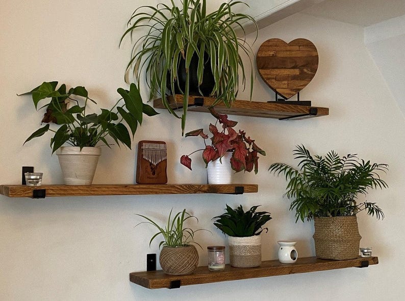 Shelf Scaffold Board Rustic Shelves Industrial Solid Wood complete with brackets lovely Pine shelving, Bookshelf, Shelve 画像 7