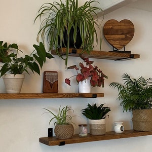 May include: Three wooden shelves with black metal brackets, holding various potted plants, a wooden heart-shaped sculpture, and a small wooden musical instrument. The shelves are mounted on a white wall.