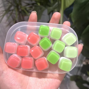 May include: A clear plastic container filled with square, colorful objects. The objects are a mix of pink, coral, and green, each with a white base. The container is held in a person's hand, with a blurred background of green plants.