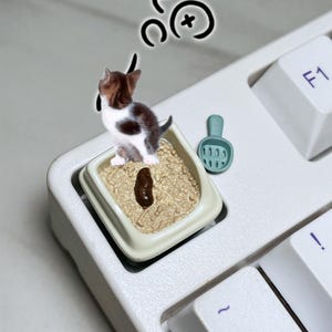 May include: A white plastic litter box with brown litter and a small brown poop. A small black and white kitten is standing in the litter box. A green plastic scoop is next to the litter box. A cartoon drawing of a cat with a thought bubble above its head is in the upper left corner of the image.