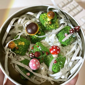 May include: A circular container holding miniature mossy landscapes with various mushroom figurines. The mushrooms feature red, brown, and pink caps with white spots. The container is lined with strips of white paper.