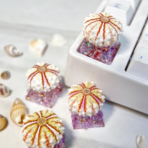 May include: Four white and orange sea urchin keycaps with pink glitter bases. The keycaps are arranged on a white surface.