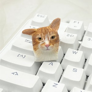May include: A small, orange and white cat figurine is placed on a white keyboard. The cat is looking directly at the camera with a serious expression. The keyboard has keys labelled with letters, numbers, and symbols.