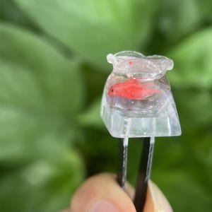 May include: A miniature, clear resin sculpture of a goldfish in a bag, held by tweezers. The goldfish is bright red, and the bag is transparent, with a slightly ruffled top. The background is a soft green.