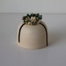 see more listings in the Handmade Ceramics section