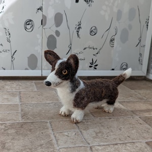 Corgi Pembroke Welsh in brindle/white woolen sculpture. Dog replica. Pet memorial. Memorable dog gift. Custom dog figurine. Custom Corgi dog