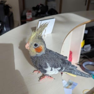 Cockatiel chick replica. Cockatiel baby wool sculpture. Parrot replica. Custom pet replica. Cockatiel memorial. Memorable cockatiel gift.