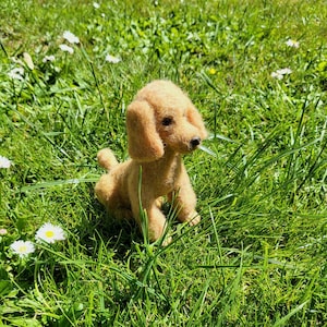 Pudel-Replik. Kundenspezifische Pudelhund-Replik. Pudel sitzend. Haustier-Denkmal. Hunde Figur. Denkwürdiges Haustier Geschenk. Hund nach Wunsch aus Wollfilz. Filz Welpe.