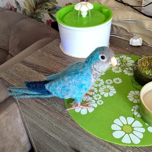May include: A handcrafted felt bird in shades of blue and grey, with a light pink beak and feet. The bird is positioned on a green mat with white daisy patterns. A white and green pet water fountain is in the background.