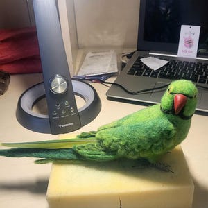 Op de afbeelding: Een naaldgevilte groene papegaai-figuur met een rode snavel en een zwarte nekring. De vogel heeft getextureerde groene wollen veren en een lange, puntige staart, rustend op een rechthoekig geel schuimblok naast een bureaulamp.
