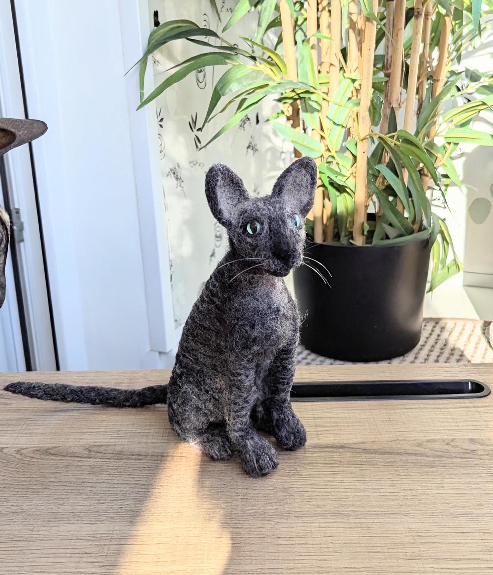 コーニッシュ・レックス猫のフェルトレプリカ - ペットメモリアルギフト - Etsy 日本, image size:1593x1858