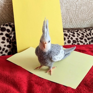 Wool Felt White-faced cockatiel Figurine. Custom parrot replica.  Pet Memorial.