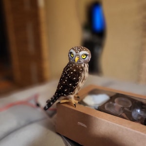 Peut inclure: Une figurine de hibou détaillée et artisanale, avec des plumes tachetées marron et blanches, des yeux jaunes et un bec jaune. Le hibou est perché sur une boîte en carton marron. L'arrière-plan est flou.