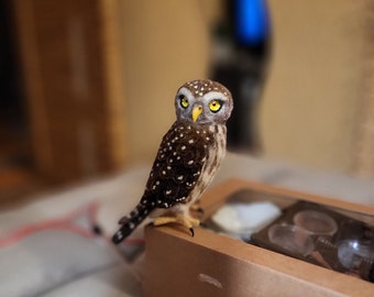 Pearl spotted owlet - wool sculpture