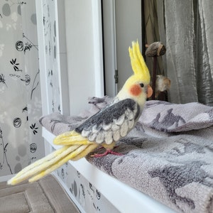 Replica Pied Cockatiel wool sculpture. Parrot replica. Custom pet replica. Custom wool felt. Cockatiel memorial. Memorable cockatiel gift.
