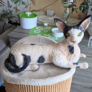 Bambino cat replica felted realistic cat. Cat replica. Hairless cat replica. Custom pet replica. Pet memorial. Memorable pet gift. Cat gift.