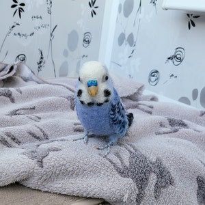 Budgie replica. Budgie wool sculpture. Custom replica. Parrot memorial. Pet memorial. Budgie bird needle felting.