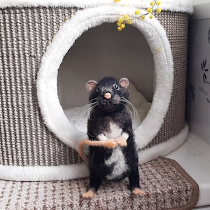 Rat decorative realistic woolen sculpture. Black Rat replica. Custom pet replica. Custom wool felt. Rat memorial. Memorable rat gift. ラット