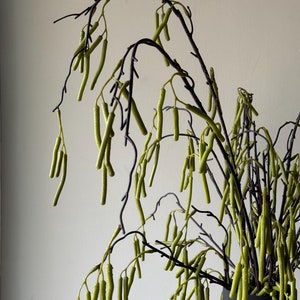 Green Faux Catkin Stems, Artificia Catkin, Hanging Faux Stems, Faux flowers, Faux Foliage, Artificial Flowers, Home Decor, UK