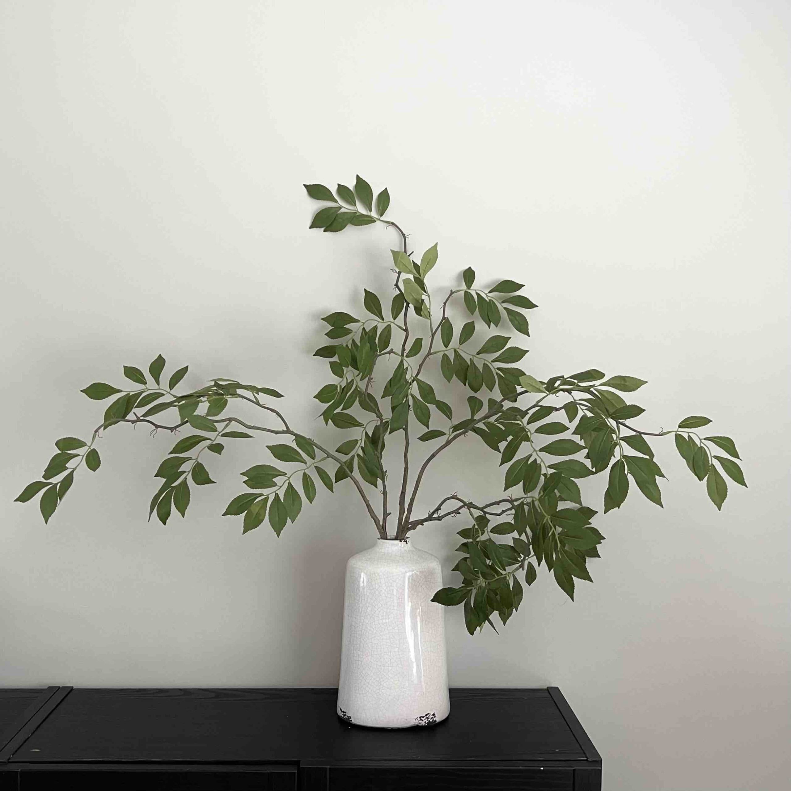  ASTIDY Eucalyptus Tree Artificial - 5FT Faux Eucalyptus Tree in  Pot - Fake Eucalyptus Plant - Silver Dollar Leaves Silk Trees - Artificial  Tree for Home Office Living Room Floor Decor