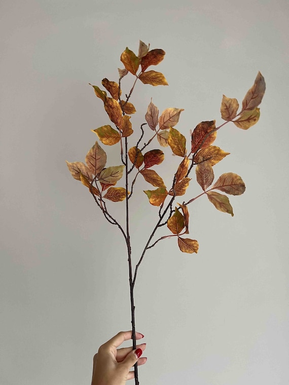 Faux Gelb / Braun Herbst Zweige, Faux Zweig, knstliche Zweig, Wohnkultur,  Autum Decor - Etsy sterreich