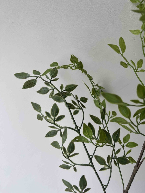 pflanztopf für monstera Pflanztopf aus Karton Monstera main image 1