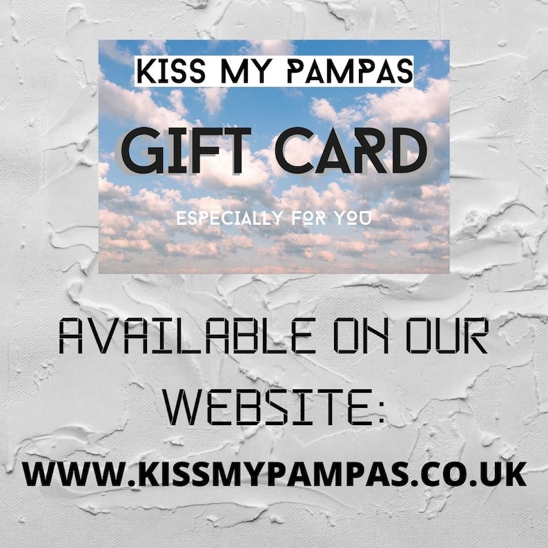 Black Bunny Tails Black Pampas Home Decor Etsy UK