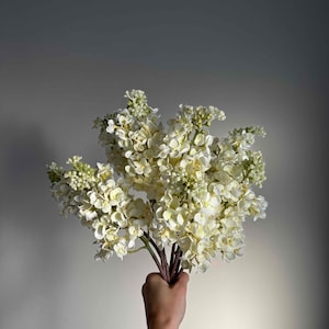 May include: A bouquet of white lilac flowers held in a hand. The flowers are in full bloom and have a delicate, sweet fragrance.